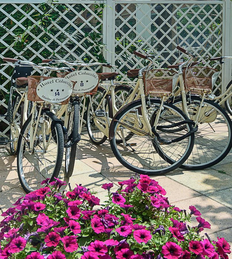 Hotel Coluccini Marina di Pietrasanta Exterior photo